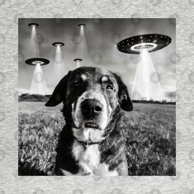 Dog Selfie With Aliens UFO by Megadorim